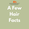 A Few Hairreau Hair Facts